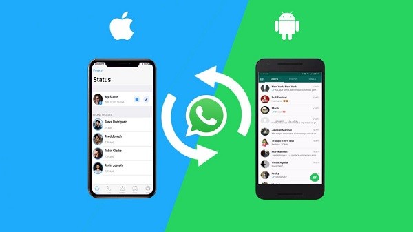 cara memindahkan data Whatsapp dari Android ke Iphone gratis