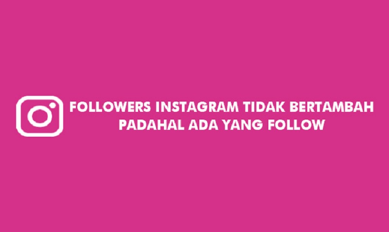 Kenapa Followers Instagram Tidak Bertambah Padahal Ada Yang Follow
